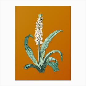 Vintage Eucomis Punctata Botanical on Sunset Orange n.0862 Canvas Print