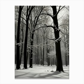 Winter Forest 3 Canvas Print