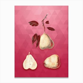 Vintage Pear Botanical in Gold on Viva Magenta n.0825 Canvas Print