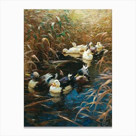 Vintage Ducks In The Pond Canvas Print