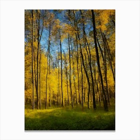 Autumn Forest 93 Canvas Print