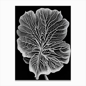 Gotu Kola Leaf Linocut 1 Canvas Print