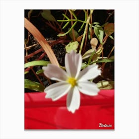 White Flower 3 Canvas Print