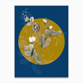 Vintage Botanical White Pea Flower on Circle Yellow on Blue Canvas Print