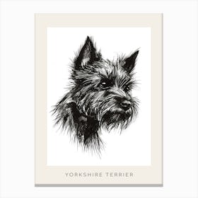 Yorkshire Terrier Black & White Line Sketch 3 Poster Canvas Print