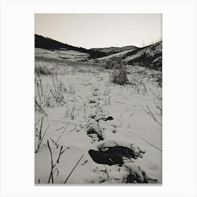 Snowy Path In The Snow Canvas Print