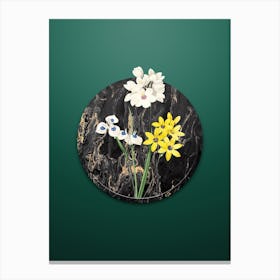 Vintage Corn Lily Botanical in Gilded Marble on Dark Spring Green n.0033 Canvas Print
