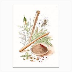 Mace Spices And Herbs Pencil Illustration 3 Canvas Print