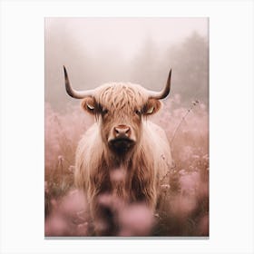 Pink Photography Of Highland Cow In The Rain 4 Canvas Print