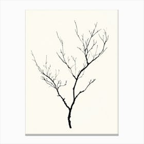 Bare Tree Canvas Print