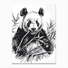 Giant Panda Eating Bamboo Ink Illustration 3 Canvas Print