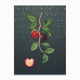 Vintage Apricot Botanical on Slate Gray Pattern n.0796 Canvas Print
