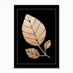 Gold Leaf on Black 6 Canvas Print