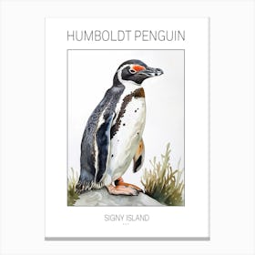 Humboldt Penguin Signy Island Watercolour Painting 4 Poster Canvas Print