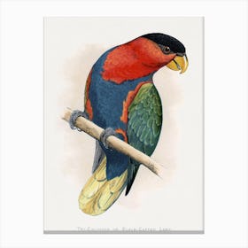 Vintage Parakeet Canvas Print