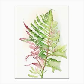 Sensitive Fern Wildflower Watercolour 2 Canvas Print