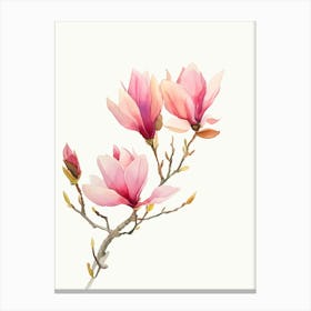 Magnolia Blossoms 1 Canvas Print