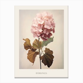 Floral Illustration Hydrangea 4 Poster Canvas Print