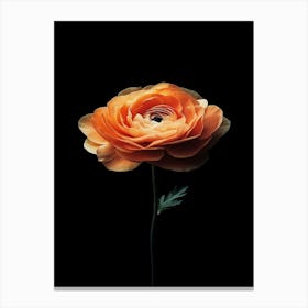 Orange Flower 5 Canvas Print