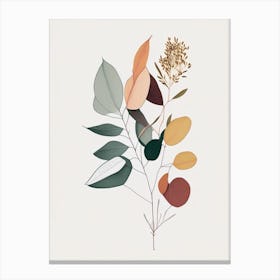 Eucalyptus Spices And Herbs Minimal Line Drawing 2 Canvas Print