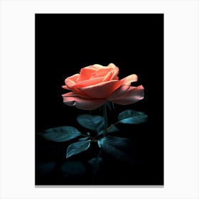 Pink Rose On Black Background 51 Canvas Print