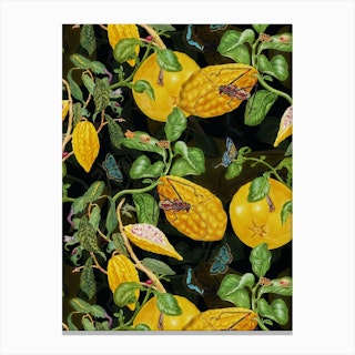 Maria Sibylla Merian Lemons And Insects Canvas Print
