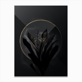 Shadowy Vintage Cordyline Fruticosa Botanical on Black with Gold n.0181 Canvas Print