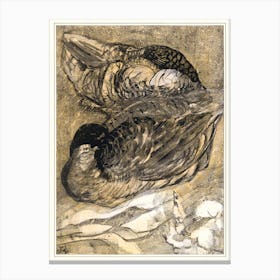 Two Sleeping Ducks (1878–1909), Theo Van Hoytema Canvas Print