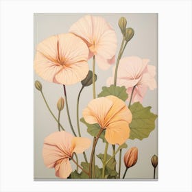 Floral Illustration Nasturtium 4 Canvas Print