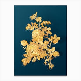 Vintage Sulphur Rose Botanical in Gold on Teal Blue n.0251 Canvas Print