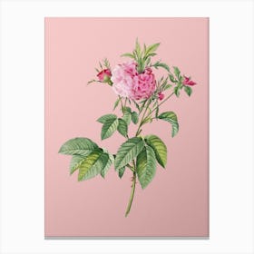 Vintage Pink Agatha Rose Botanical on Soft Pink n.0609 Canvas Print