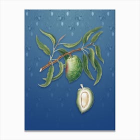 Vintage Almond Botanical on Bahama Blue Pattern n.0213 Canvas Print