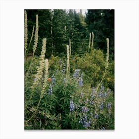 PNW Wildflowers Canvas Print