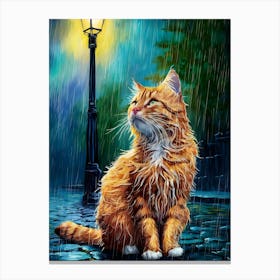 Cat In The Rain 1 Canvas Print