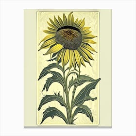 Yellow Coneflower Floral 1 Botanical Vintage Poster Flower Canvas Print