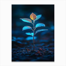 Young Plant On The Ground Canvas Print