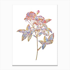 Stained Glass Van Eeden Rose Mosaic Botanical Illustration on White n.0326 Canvas Print