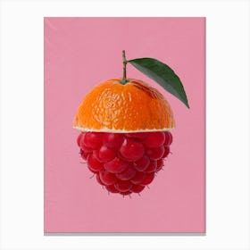 Orange & Raspberry Canvas Print