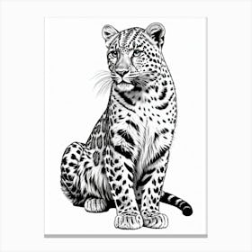 Leopard Drawing Canvas Print