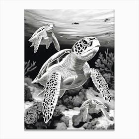 Black And White Detailed Sea Turtles Illustration Canvas Print