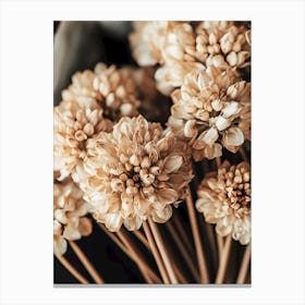 Bouquet Of Dried Flowers Canvas Print