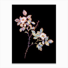 Stained Glass Spiny Leaved Rose of Dematra Mosaic Botanical Illustration on Black n.0062 Canvas Print