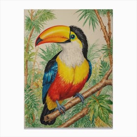 Toucan 36 Canvas Print