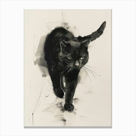 Cat Walking 5 Canvas Print