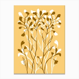 Brown Plants Canvas Print