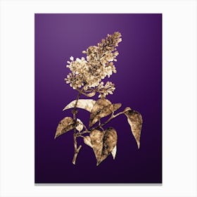 Gold Botanical Common Pink Lilac Plant on Royal Purple n.3388 Canvas Print