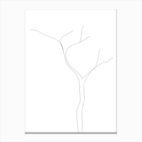 Tree With No Leaves Canvas Print