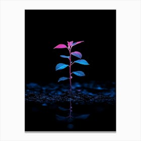 Plant On Black Background 2 Canvas Print