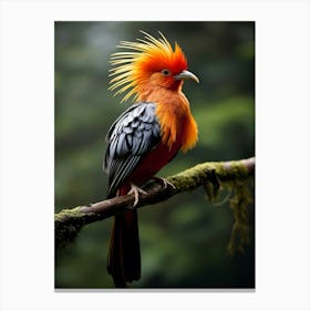 Wild Beauty: Andean Jungle Bird Wall Art Canvas Print