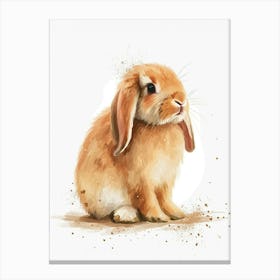 Havana Rabbit Nursery Illustration 3 Canvas Print